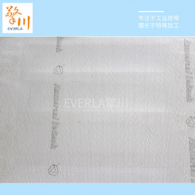 PU裙邊加擋板輸送帶